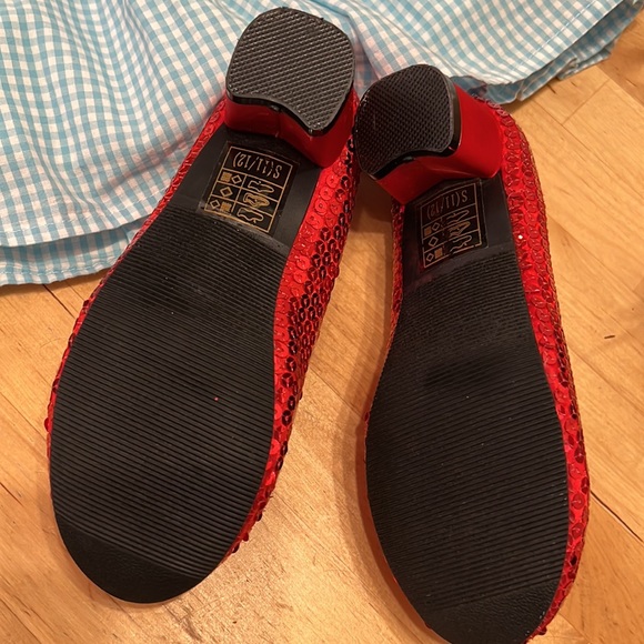 Dorothy from The Wizard of Oz - Full Costume Set - Toto and Ruby Slippers - Picture 4 of 14